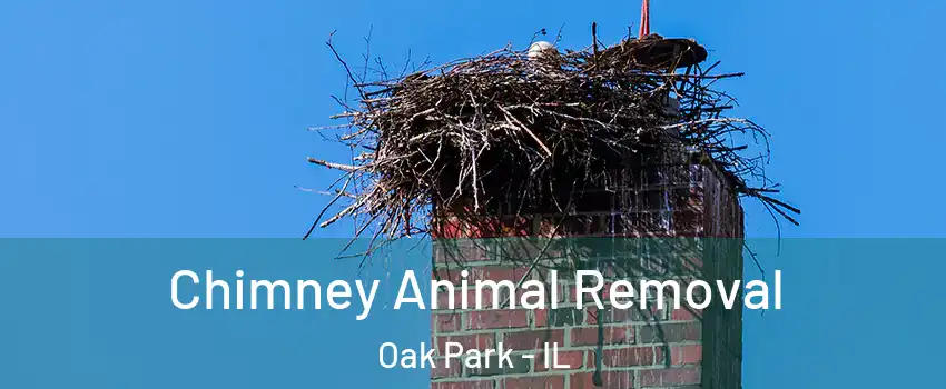 Chimney Animal Removal Oak Park - IL