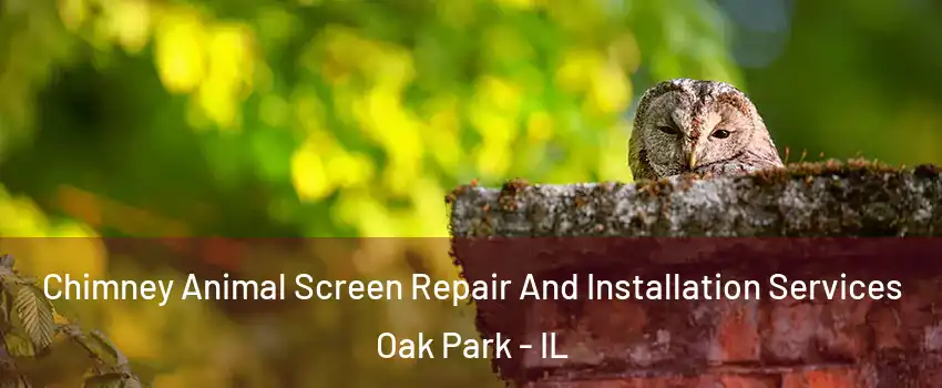  Chimney Animal Screen Repair And Installation Services Oak Park - IL