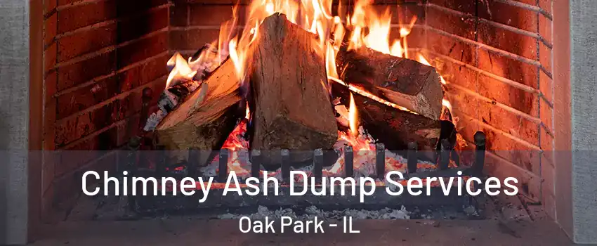  Chimney Ash Dump Services Oak Park - IL