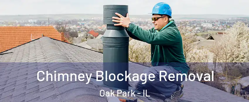  Chimney Blockage Removal Oak Park - IL