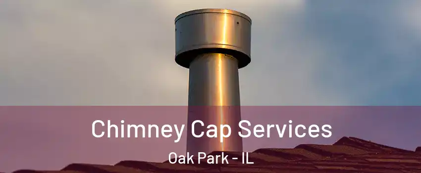  Chimney Cap Services Oak Park - IL
