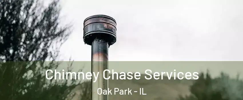  Chimney Chase Services Oak Park - IL