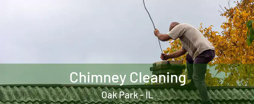  Chimney Cleaning Oak Park - IL