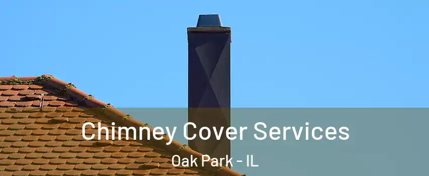  Chimney Cover Services Oak Park - IL