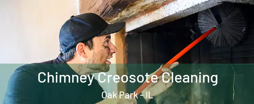  Chimney Creosote Cleaning Oak Park - IL