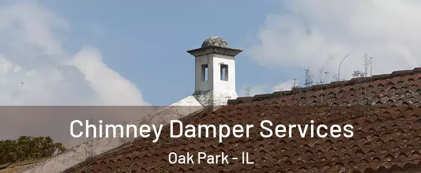  Chimney Damper Services Oak Park - IL