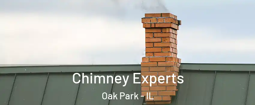 Chimney Experts Oak Park - IL