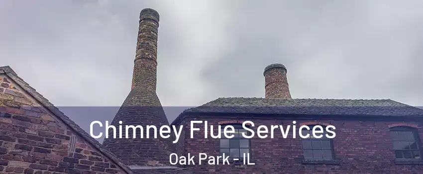  Chimney Flue Services Oak Park - IL