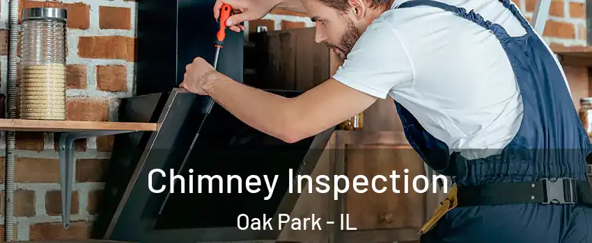  Chimney Inspection Oak Park - IL