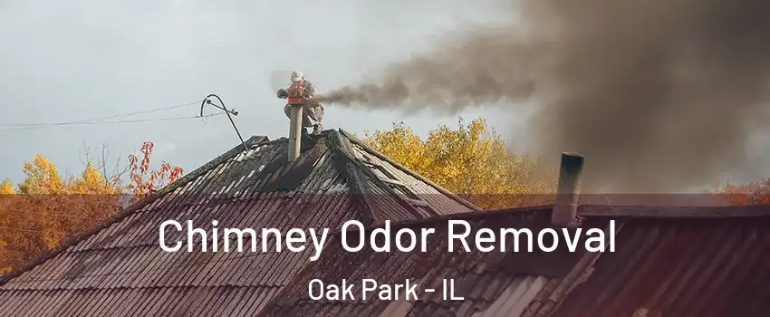  Chimney Odor Removal Oak Park - IL