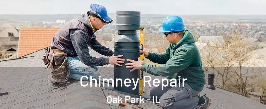  Chimney Repair Oak Park - IL