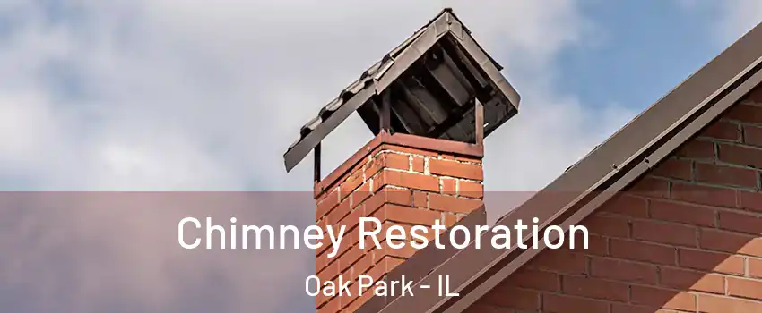  Chimney Restoration Oak Park - IL