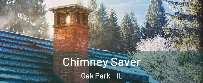  Chimney Saver Oak Park - IL