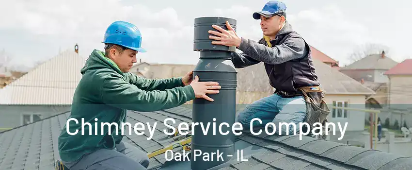  Chimney Service Company Oak Park - IL
