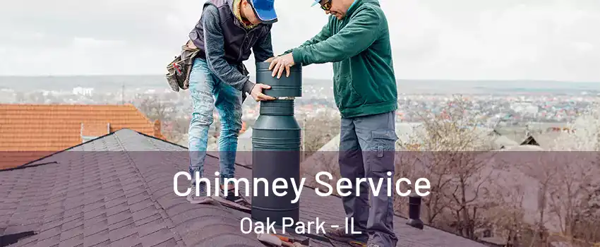  Chimney Service Oak Park - IL