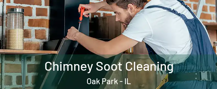  Chimney Soot Cleaning Oak Park - IL