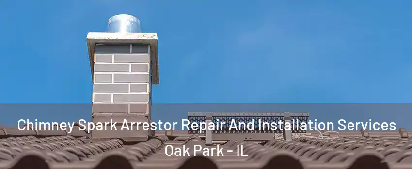  Chimney Spark Arrestor Repair And Installation Services Oak Park - IL