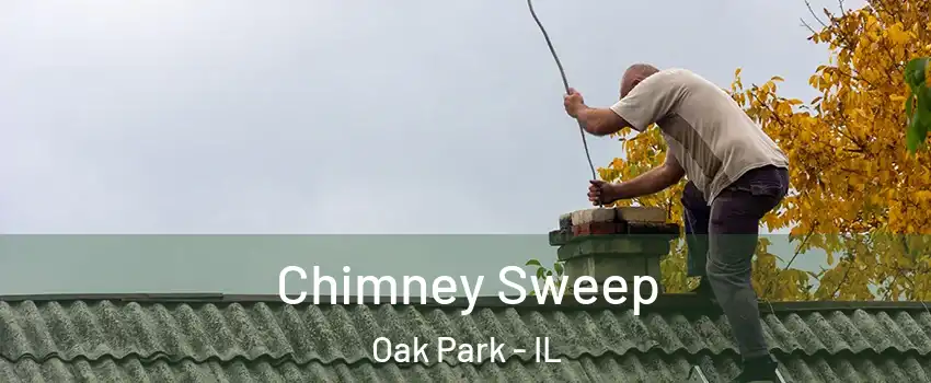  Chimney Sweep Oak Park - IL