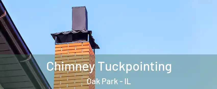  Chimney Tuckpointing Oak Park - IL
