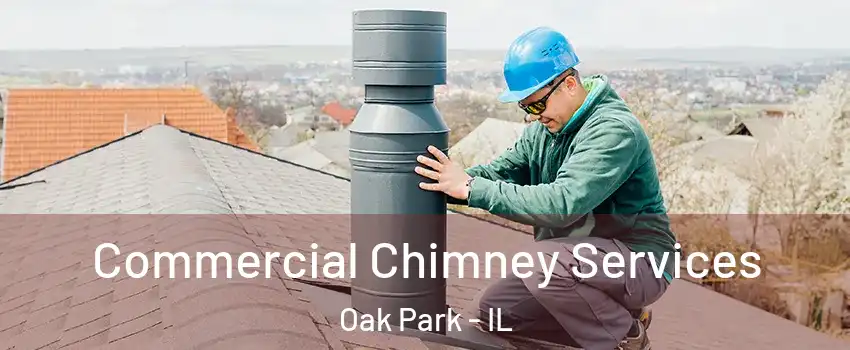  Commercial Chimney Services Oak Park - IL