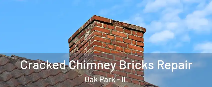  Cracked Chimney Bricks Repair Oak Park - IL
