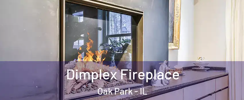  Dimplex Fireplace Oak Park - IL