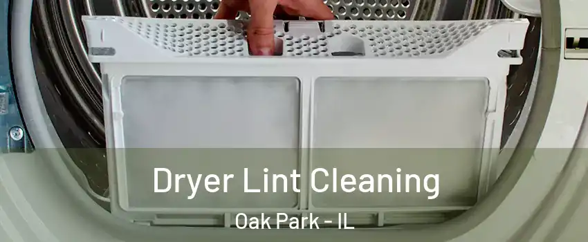  Dryer Lint Cleaning Oak Park - IL
