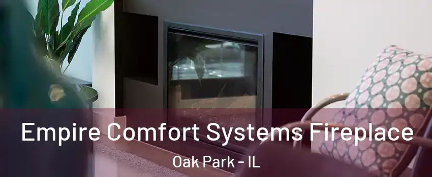  Empire Comfort Systems Fireplace Oak Park - IL