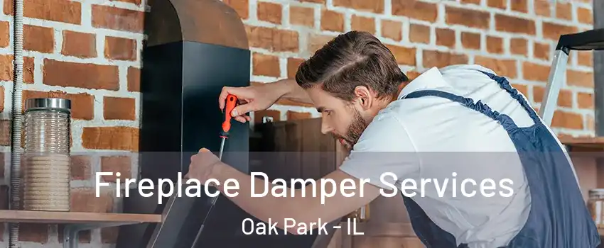  Fireplace Damper Services Oak Park - IL