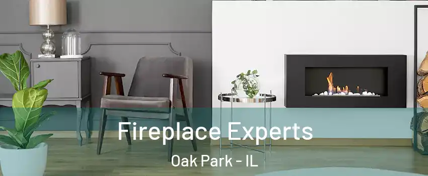 Fireplace Experts Oak Park - IL