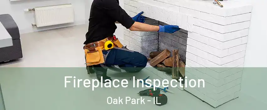  Fireplace Inspection Oak Park - IL