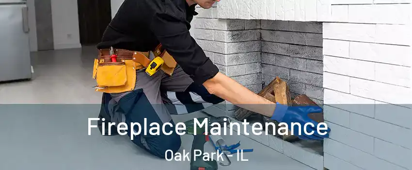  Fireplace Maintenance Oak Park - IL