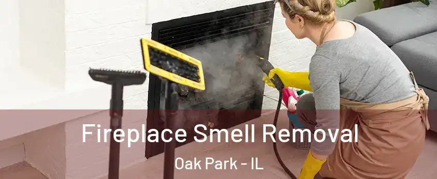  Fireplace Smell Removal Oak Park - IL
