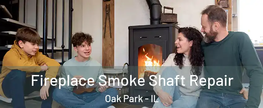  Fireplace Smoke Shaft Repair Oak Park - IL