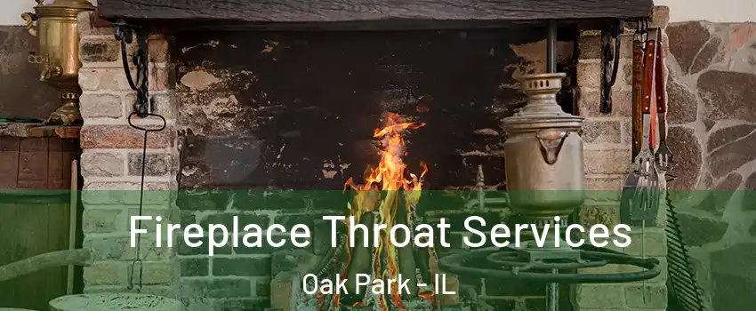  Fireplace Throat Services Oak Park - IL