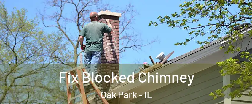  Fix Blocked Chimney Oak Park - IL