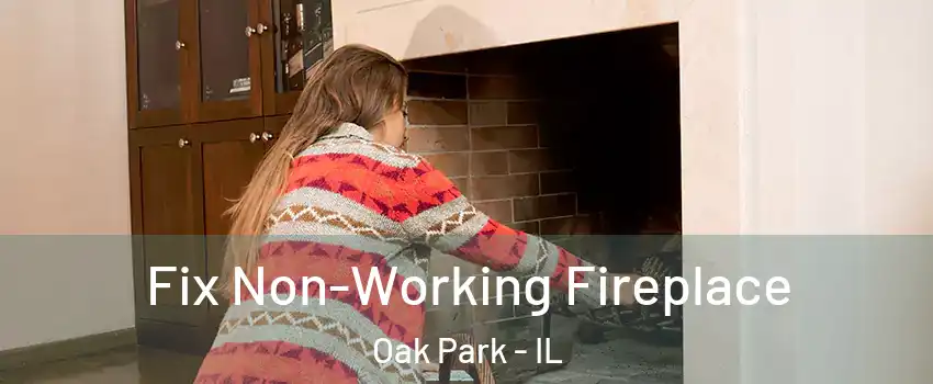  Fix Non-Working Fireplace Oak Park - IL