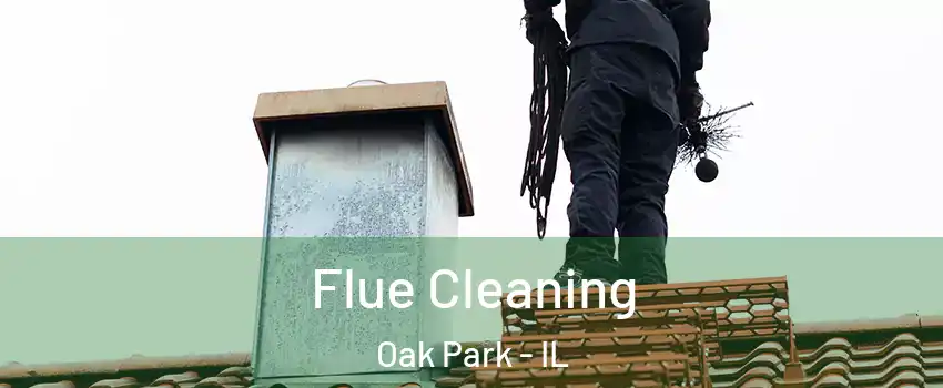  Flue Cleaning Oak Park - IL