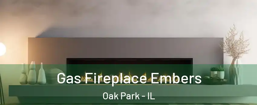  Gas Fireplace Embers Oak Park - IL