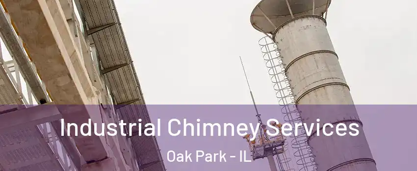  Industrial Chimney Services Oak Park - IL