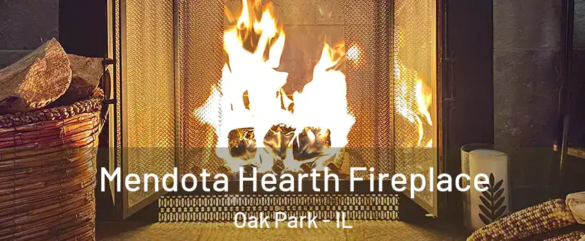  Mendota Hearth Fireplace Oak Park - IL