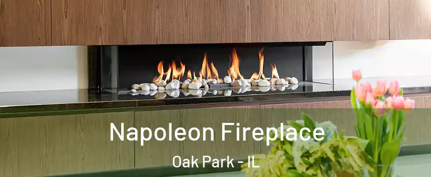  Napoleon Fireplace Oak Park - IL