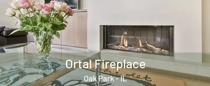 Ortal Fireplace Oak Park - IL
